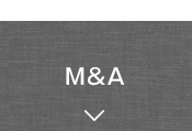 M&A